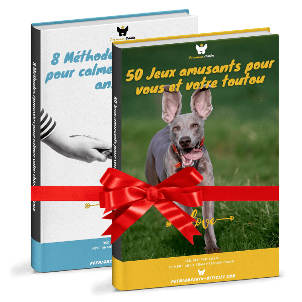 2 Ebooks OFFERTS