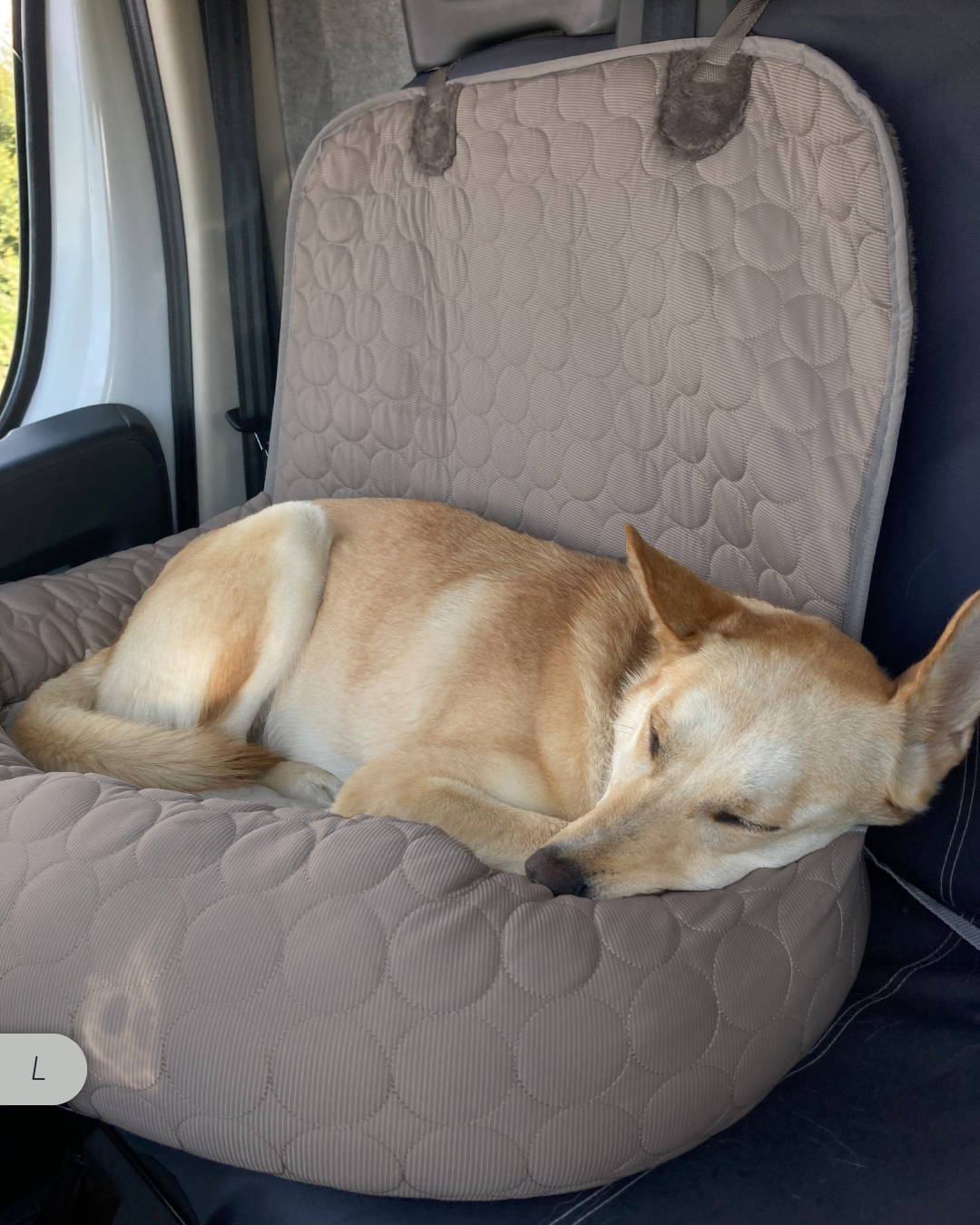 PawCool - Panier 2 en 1 Convertible rafraîchissant