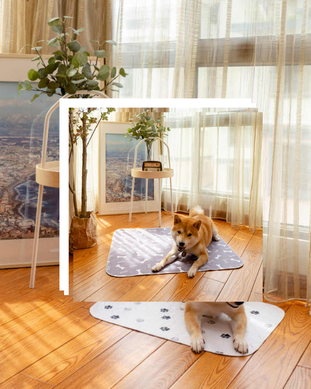 ProtectPad™ - Tapis D'urine Absorbant Lavable