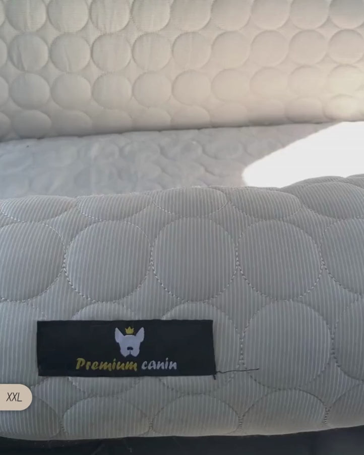 PawCool - Panier 2 en 1 Convertible rafraîchissant