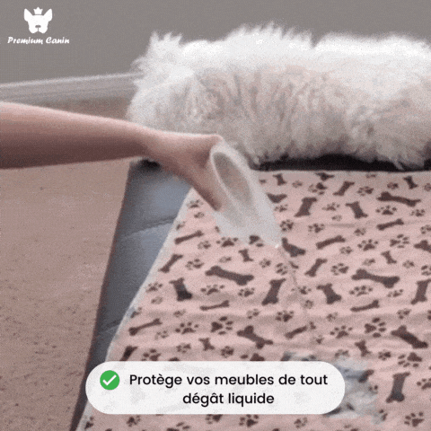 [ OFFRE LIMITEE ] ProtectPad™ - Tapis D'urine Absorbant Lavable